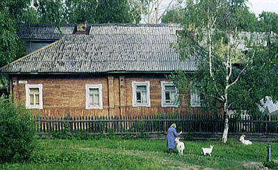 Woman feeding goats